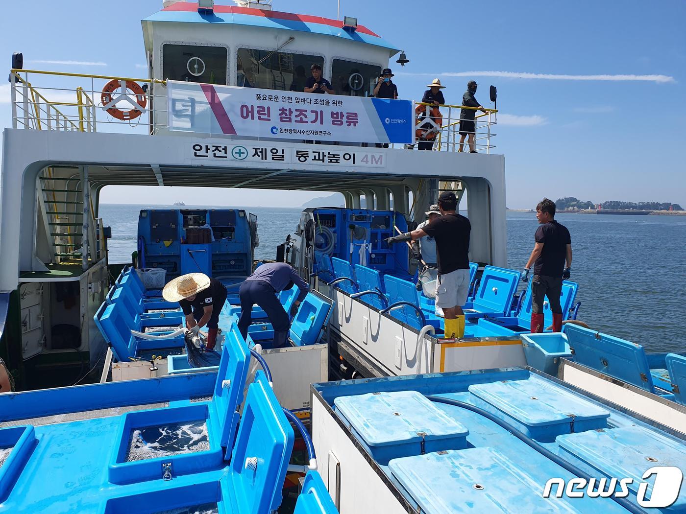 연평도수산 이미지