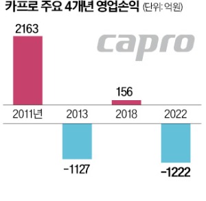 카프로 이미지