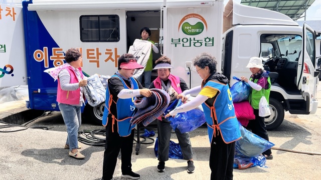 주부 이미지