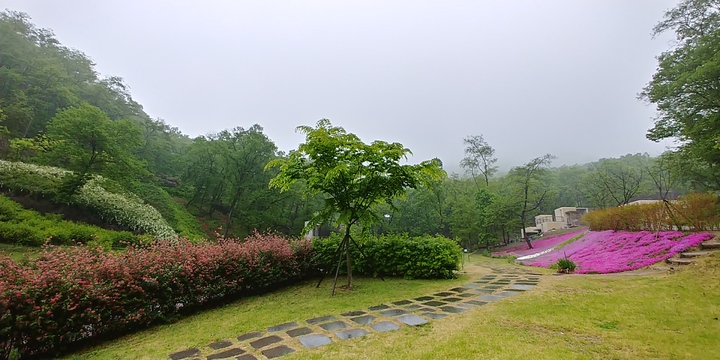 파주 이미지