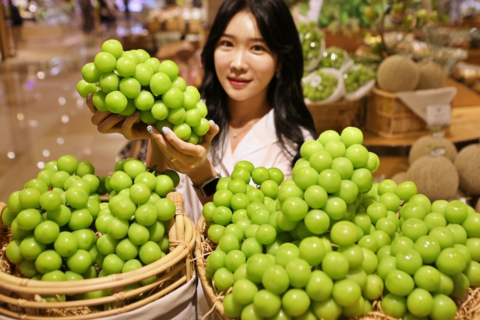 샤인 이미지