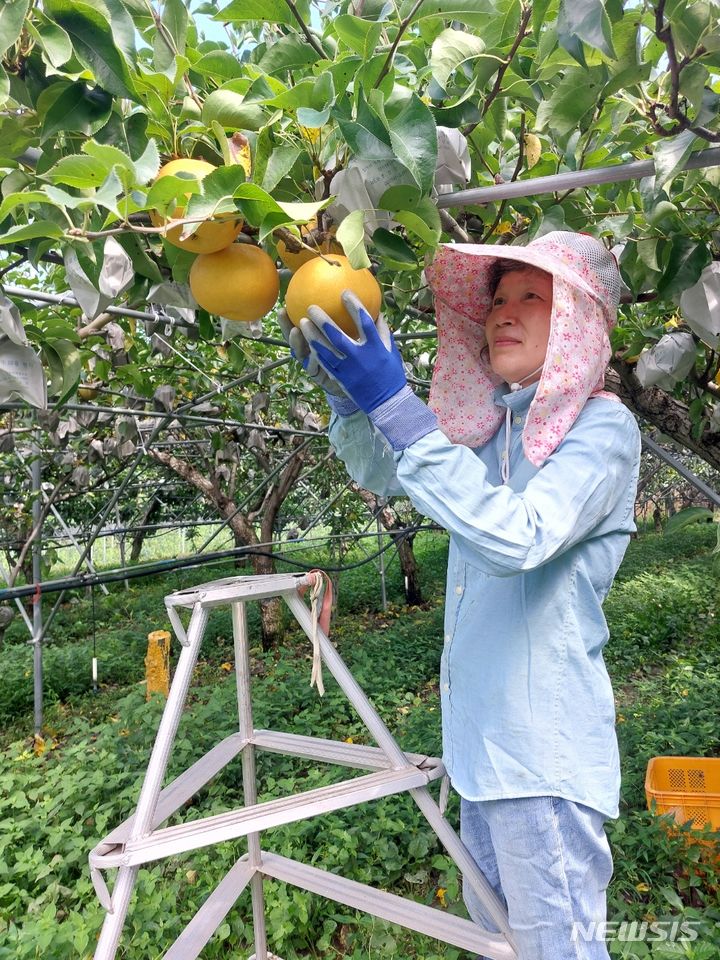 달달하동 이미지