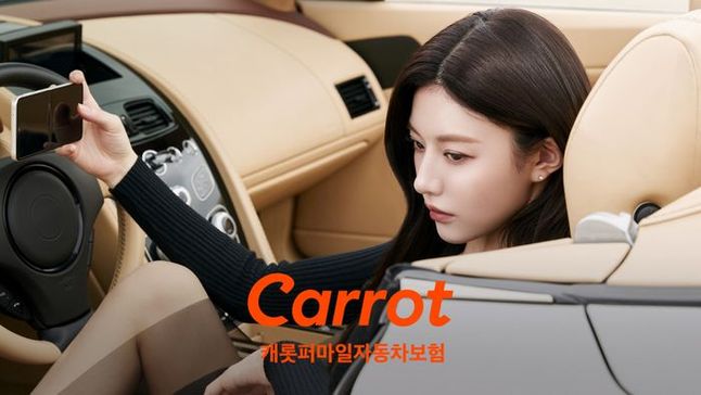 빅캐롯 이미지