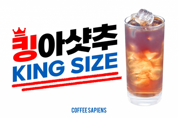 커피사피엔스 이미지