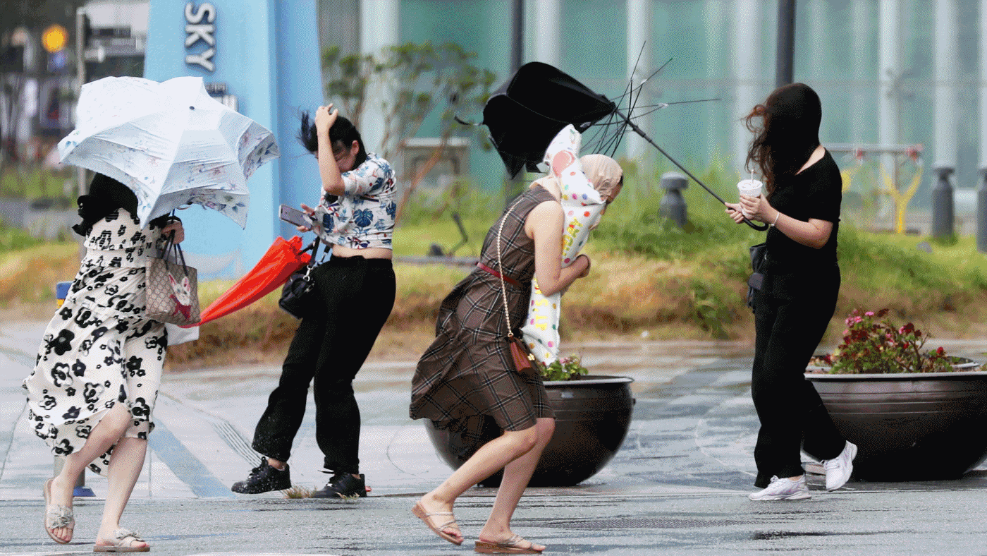 제6호 태풍 '카눈'. /조선DB