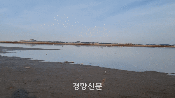전북 군산 옥서면 인근 수라갯벌의 완만한 경사를 따라 지난해 11월 27일 오후 3시쯤 물이 들어오고 있다. 강한들 기자