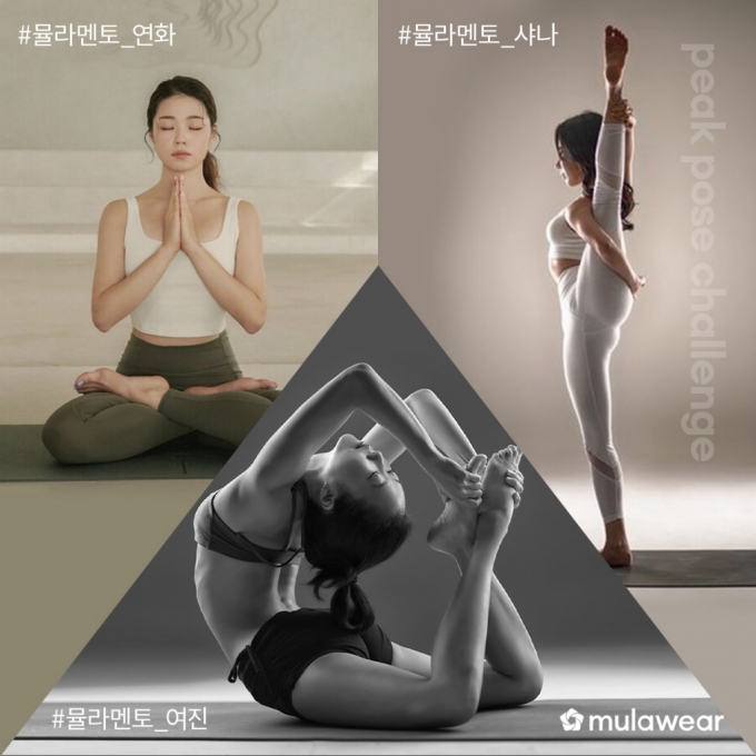 뮬라 이미지