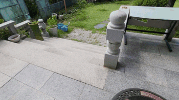 바둑이는 제보자의 집에서 임시보호 받으며 가족을 기다리고 있다. 최민석 기자