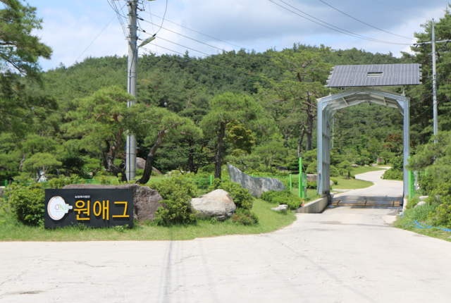 원축산 이미지