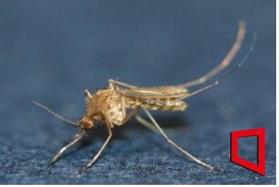 빨간집 이미지