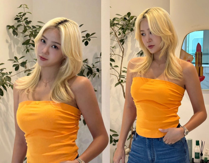 소유색 이미지