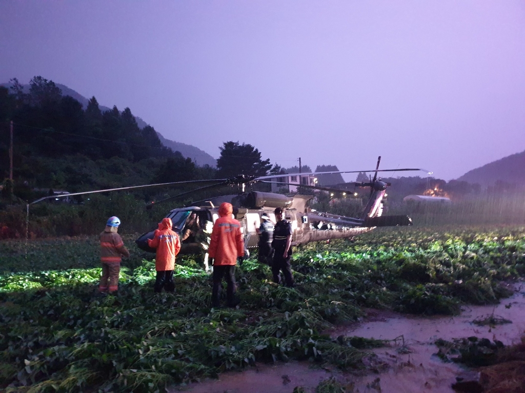 콩밭에 이미지