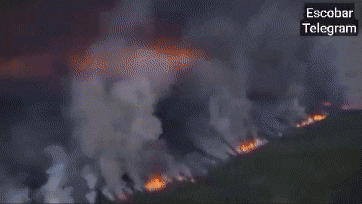 옐로나이프 화재 관련 영상. /엑스(옛 트위터)