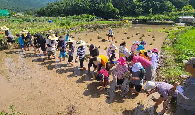 남해상주동고동락협동조합 이미지