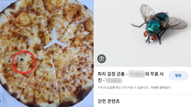 끝판왕피자 이미지