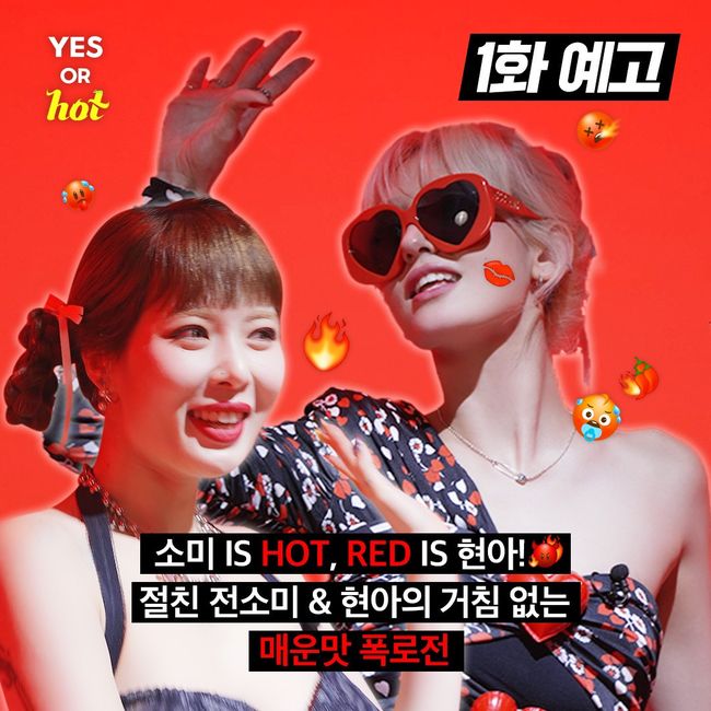 테오랩 이미지