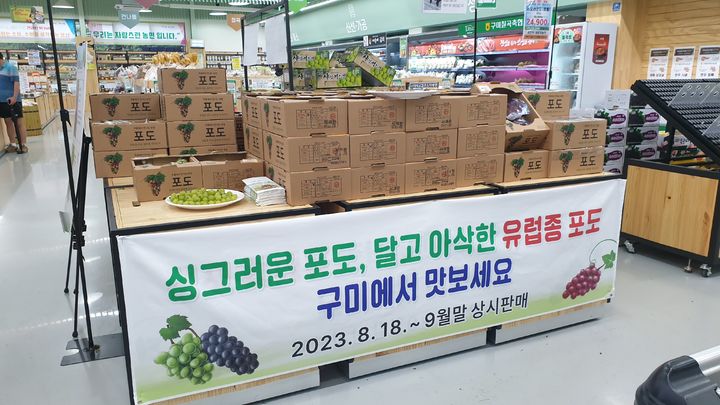 포도구미 이미지