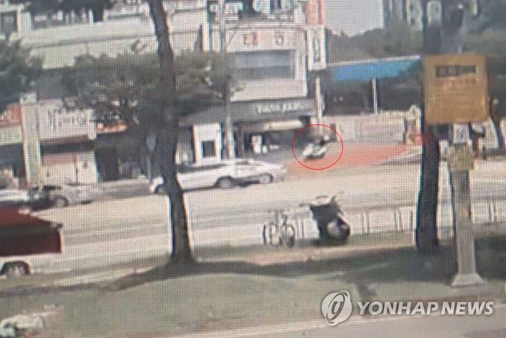 유유히 이미지