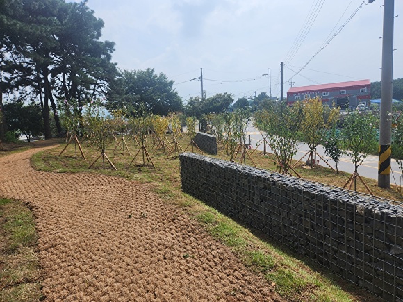 동산포장 이미지