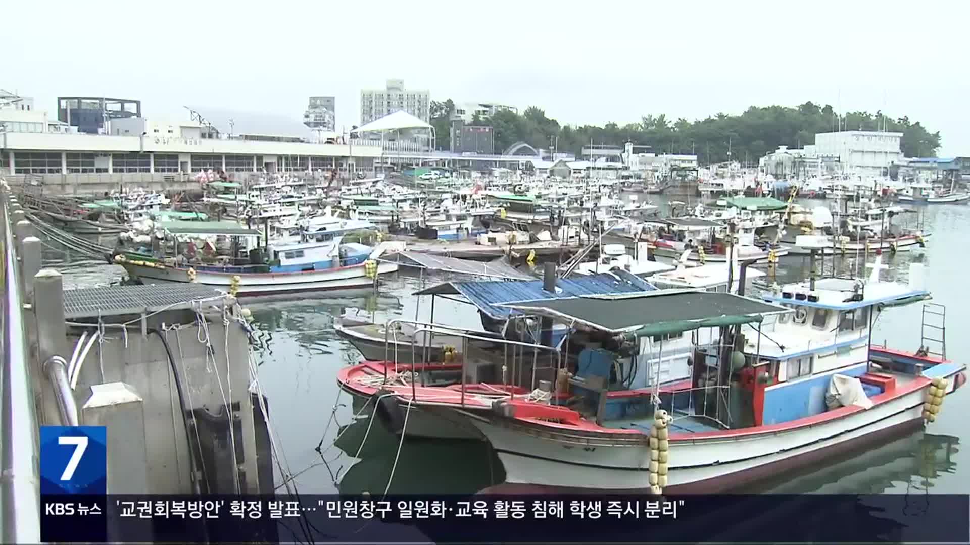 [풀뿌리 언론K] ‘처음엔 보잘것없었으나’…수산물 도시로 발판 깔다