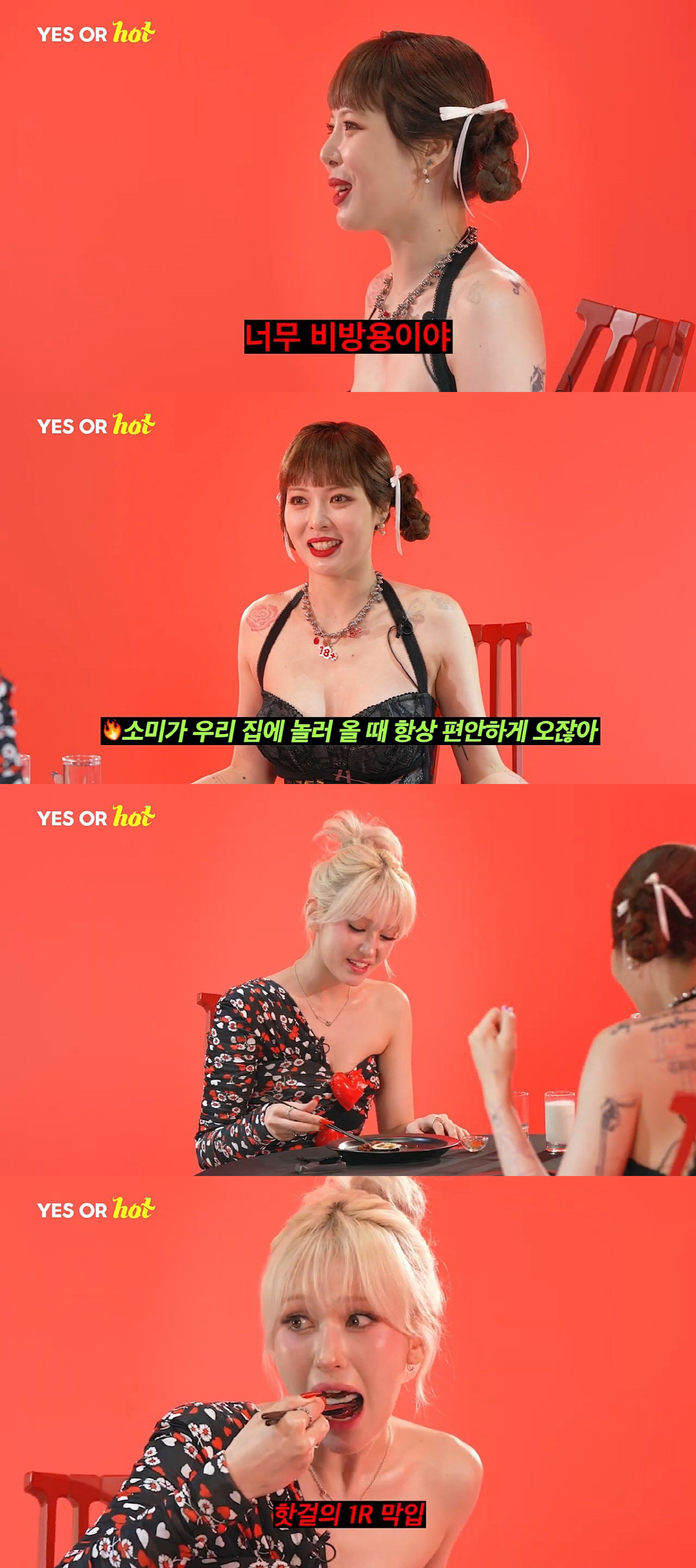 우리집오아 이미지