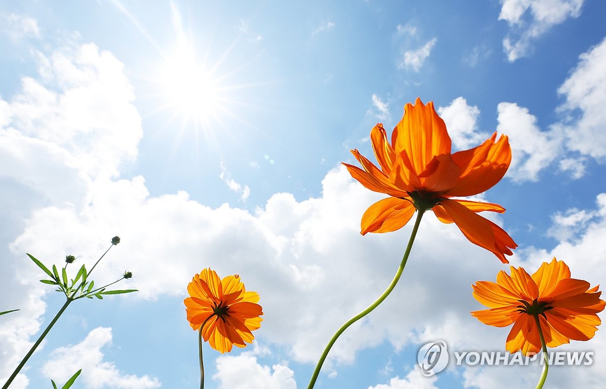 뭉게구름 이미지