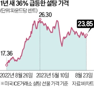 탕후루가게 이미지