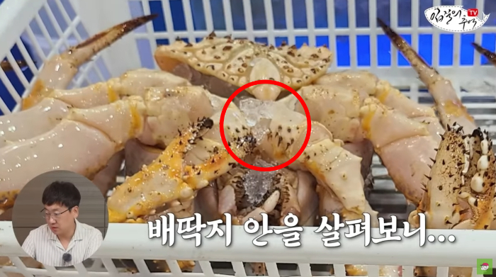 보배수산 이미지