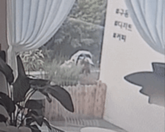 카페로즈메리 이미지