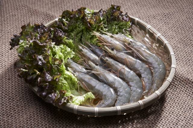 대하 이미지