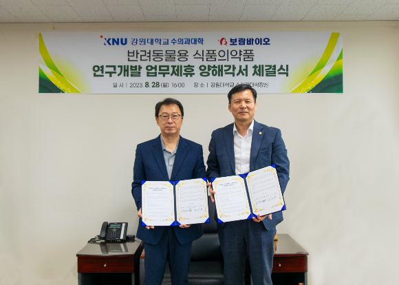 보람이네 이미지