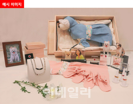 보람스카이 이미지