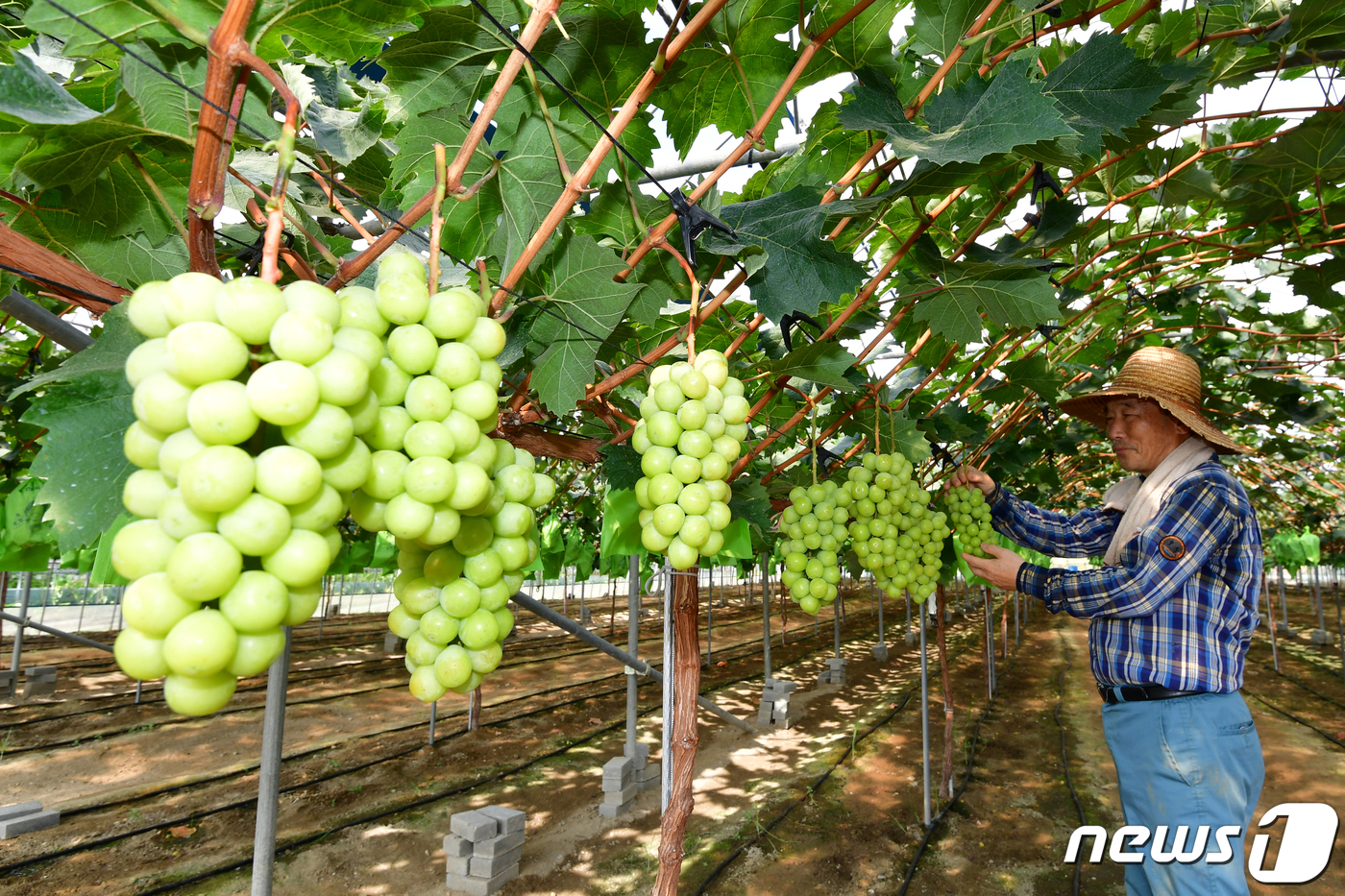 영일만축산 이미지