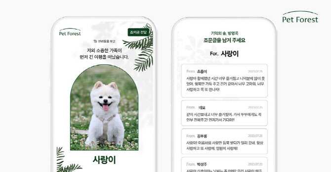 포레스트 이미지