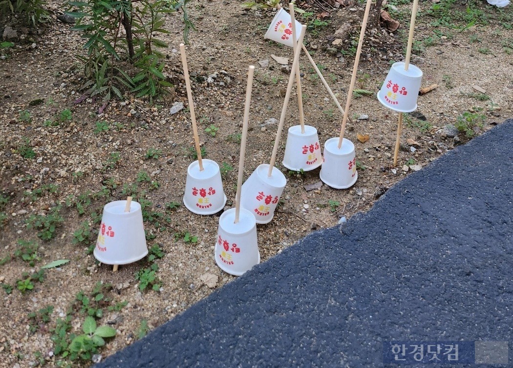 탕후루와꼬치 이미지