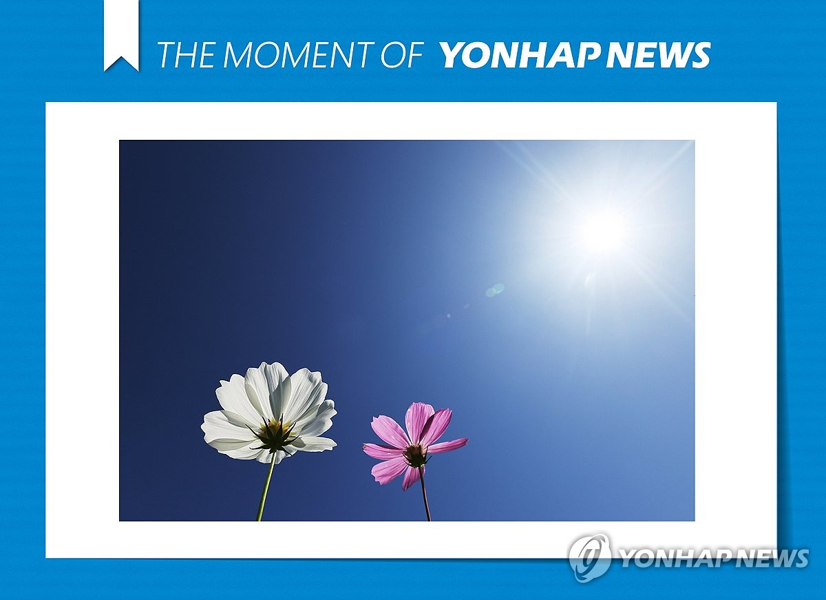 모멘트 이미지