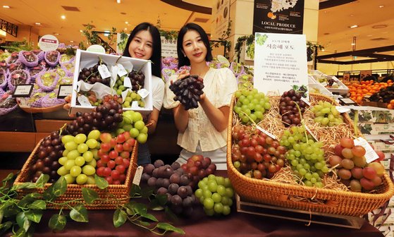 신세계청과 이미지