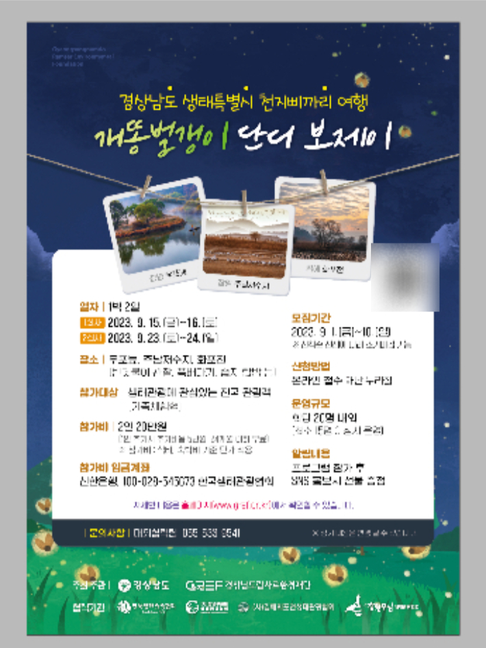 단디.제이 이미지