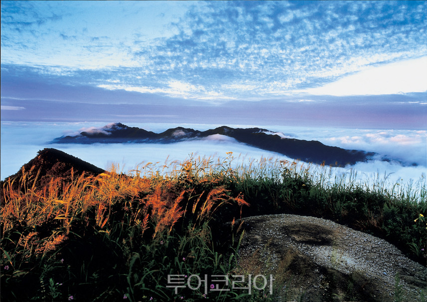 소백산 이미지