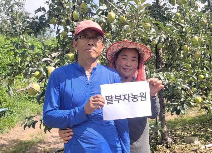 푸르트61 이미지