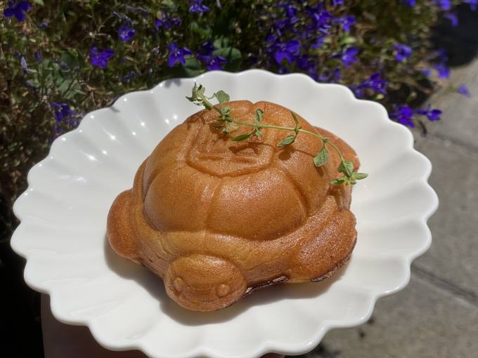 삼색삼화마을관리사회적협동조합 이미지
