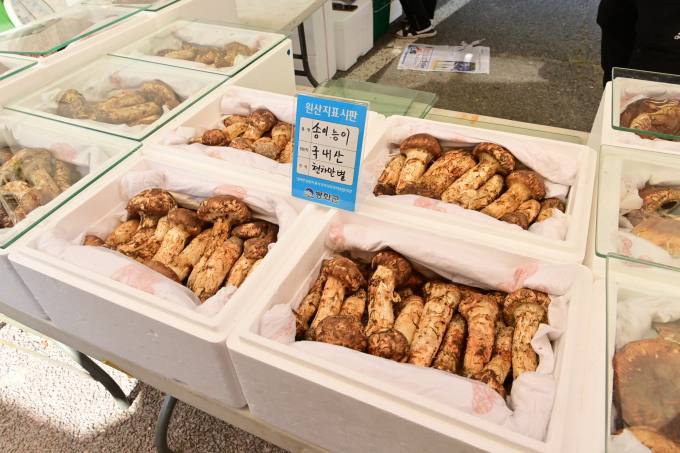 봉화잔디 이미지