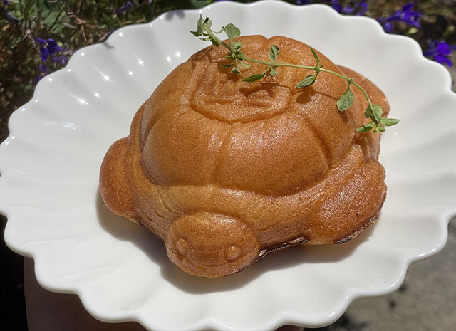 삼색삼화마을관리사회적협동조합 이미지