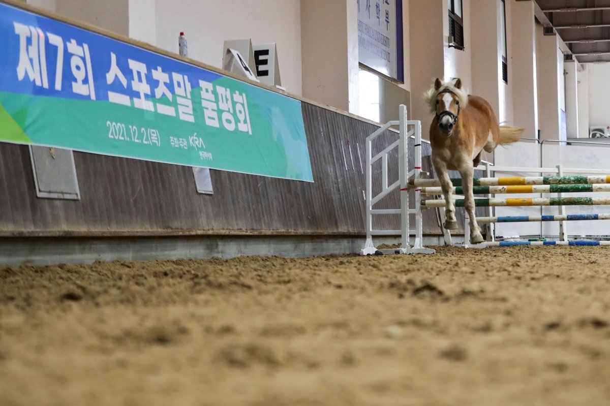 한국스포츠산업진흥원 이미지