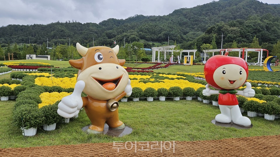 누리골프투어 이미지
