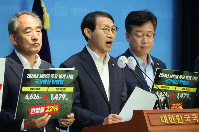 새만금수석 이미지