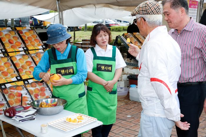경기동부과수농업협동조합 이미지