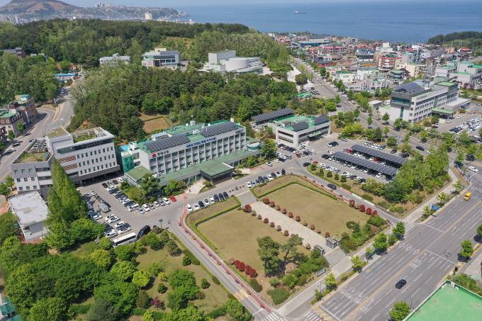 세무법인동해 이미지