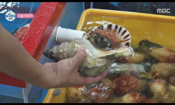나팔횟집 이미지