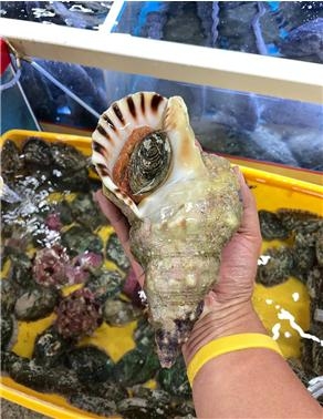 횟집 울릉도 이미지